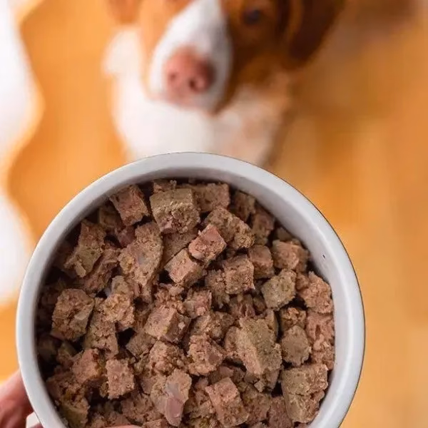 Hvor må man have hund med i København?