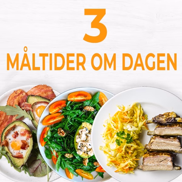 Hvad sker der, hvis jeg kun spiser et måltid om dagen?