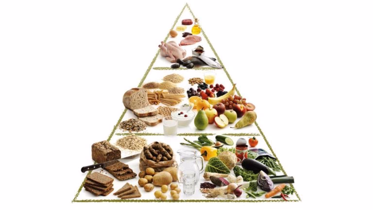 Hvad er bedst at spise, når man cutter?