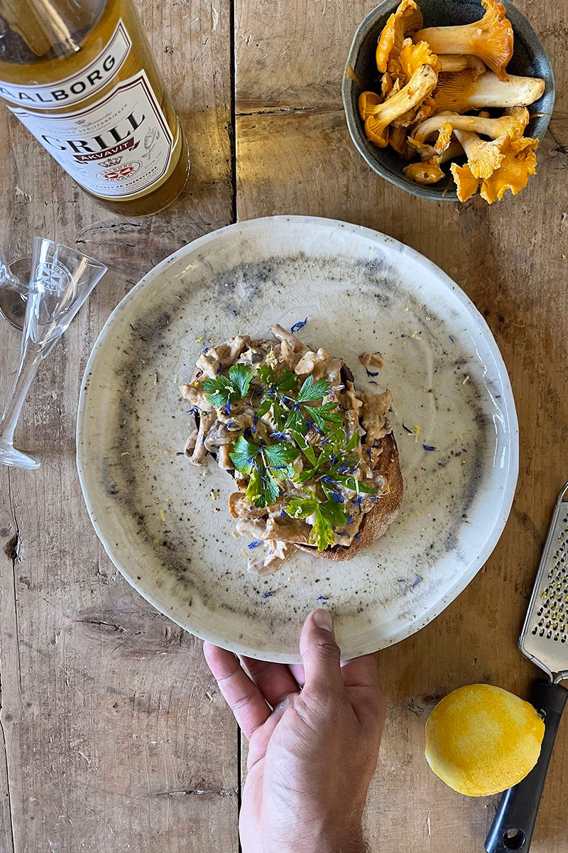 Hvad kan man bruge rød Ålborg til?