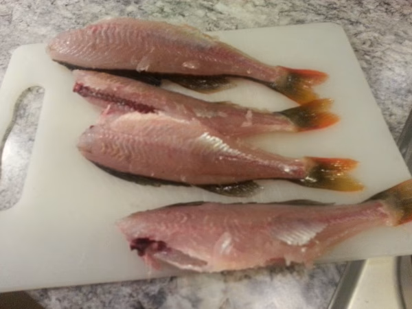 Er aborre en god spisefisk?