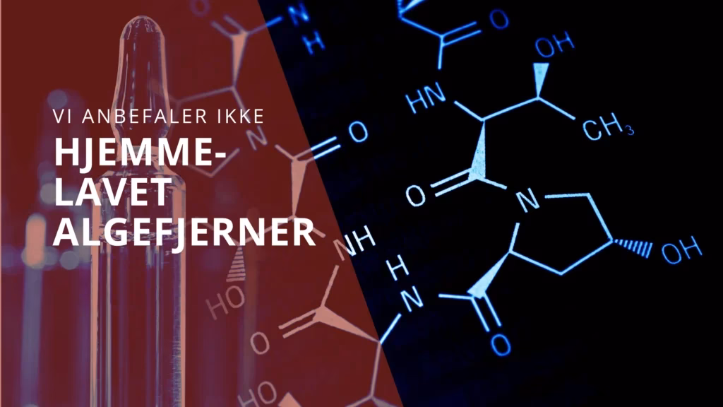 Hvad er bedst til at fjerne alger?