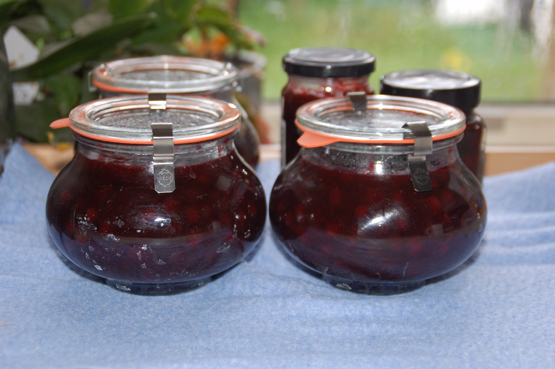 Kan man sylte aroniabær?