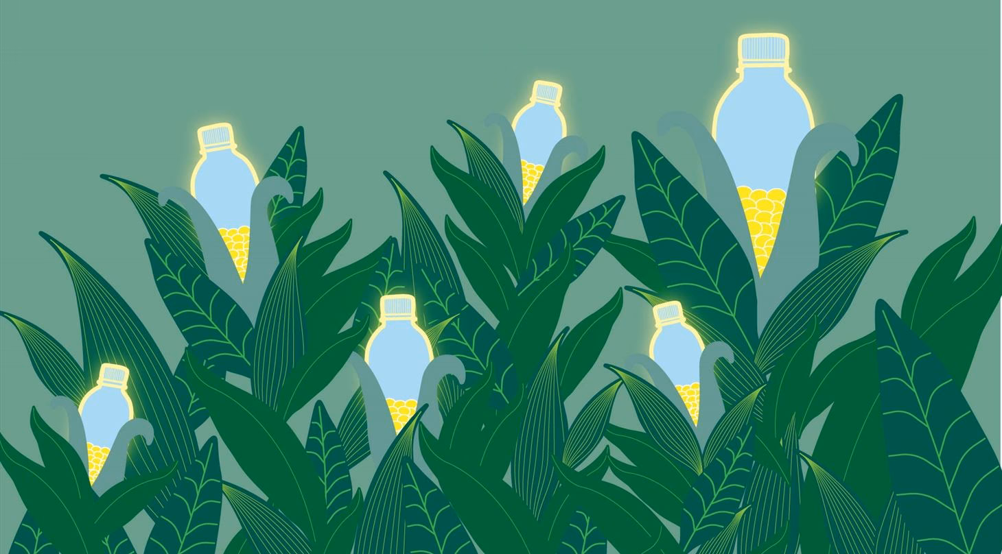 Hvad er forskellen på bioplast og bionedbrydeligt plast?