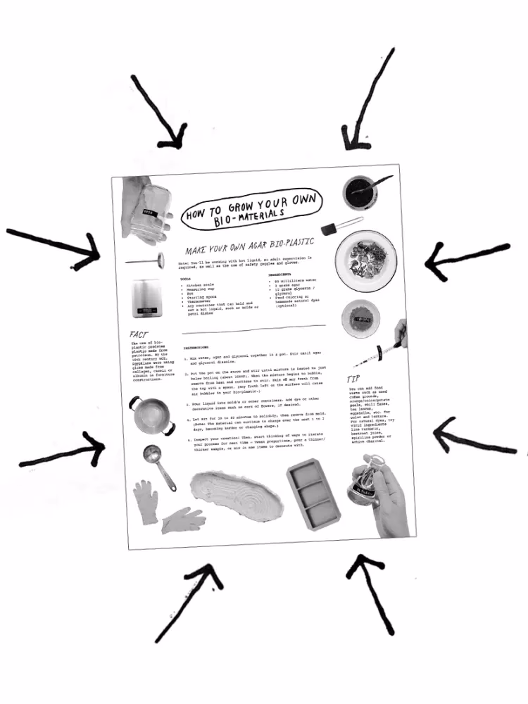 Hvad er forskellen på bioplast og normal plast?