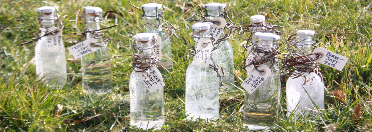Kan man lave sirup af birkesaft?