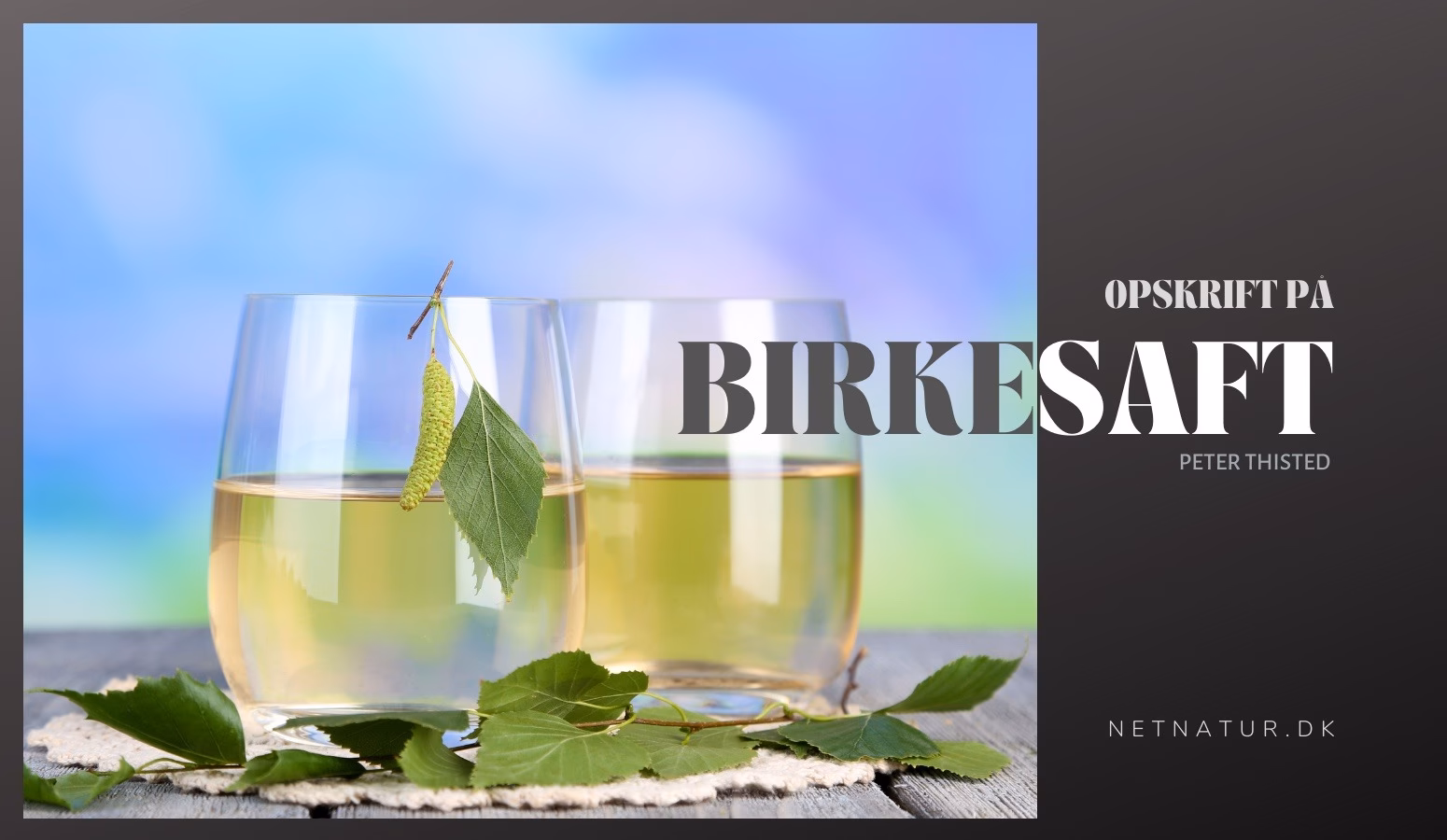 Hvordan laver man birkesaft?