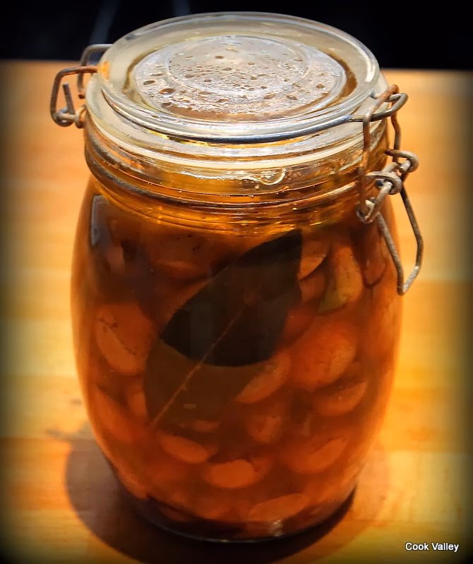 Kan man spise champignon direkte fra glas?