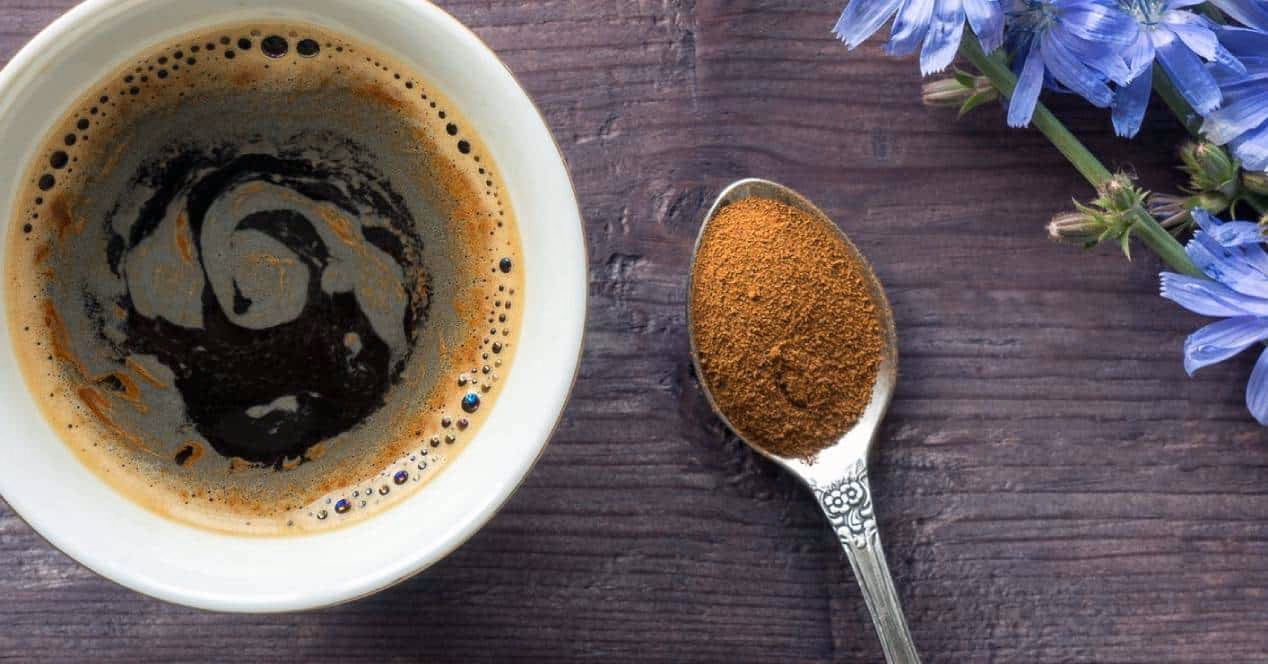 Hvad kan man bruge cikorie til?