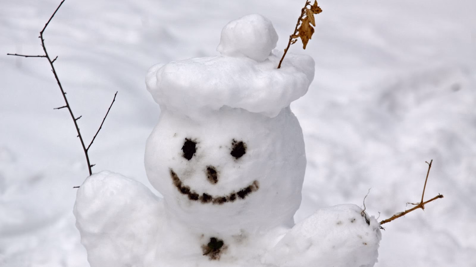 Hvad er falsk sne lavet af?