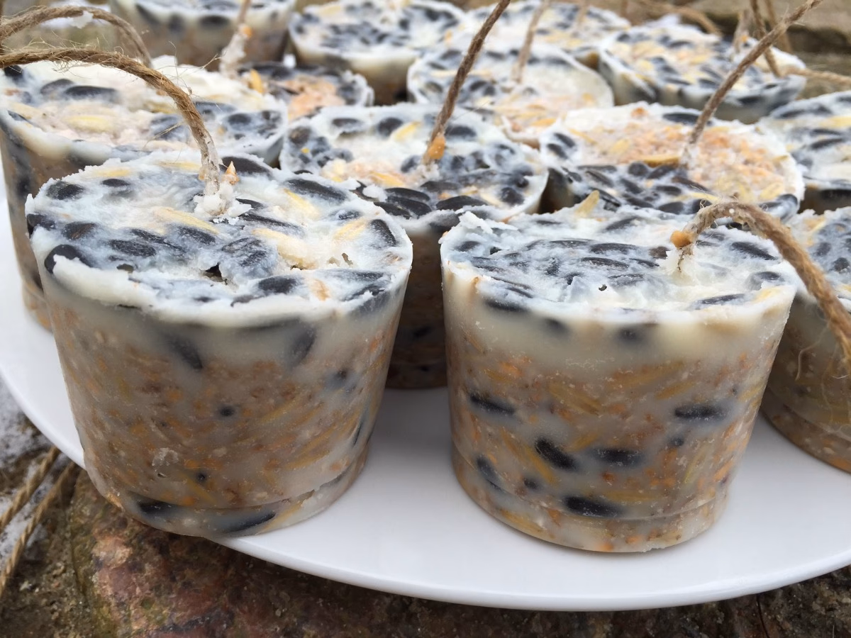 Hvad må man ikke fodre fugle med?