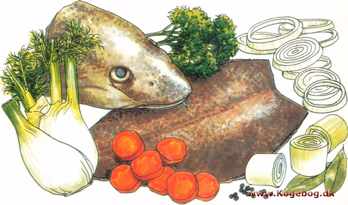 Kan man bruge fiskebouillon?