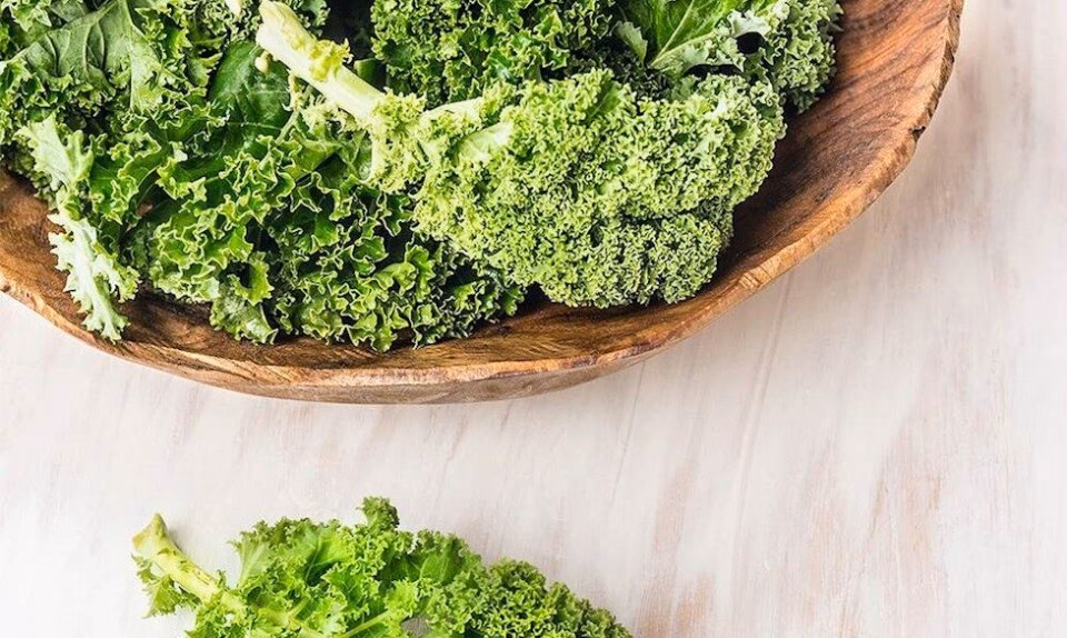 Hvordan holder man forbrændingen i gang?