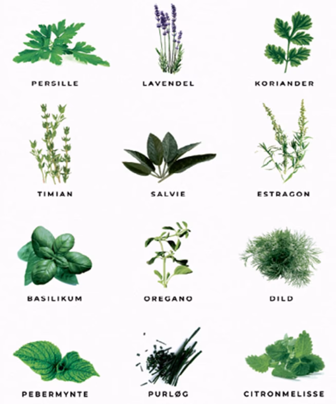 Hvordan bruger man friske krydderurter?