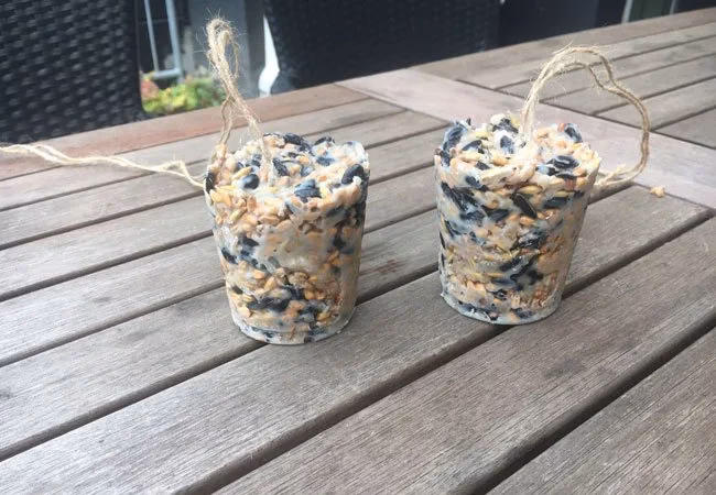 Hvilken slags fedt til fuglekugler?