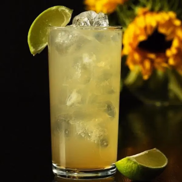 Hvordan laver jeg en Gin Hass?