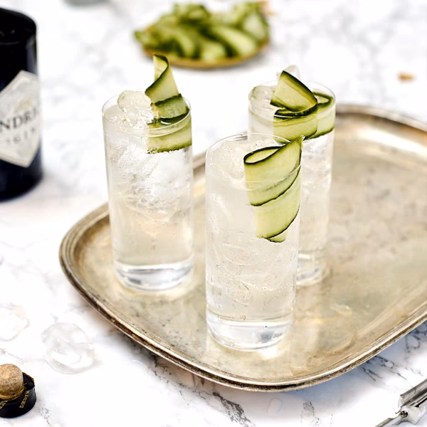 Hvad kan man putte i gin og tonic?