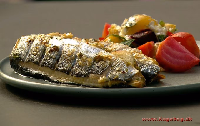 Hvordan ryger man sild?