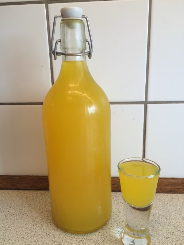 Hvad er gurkemejeshot godt for?