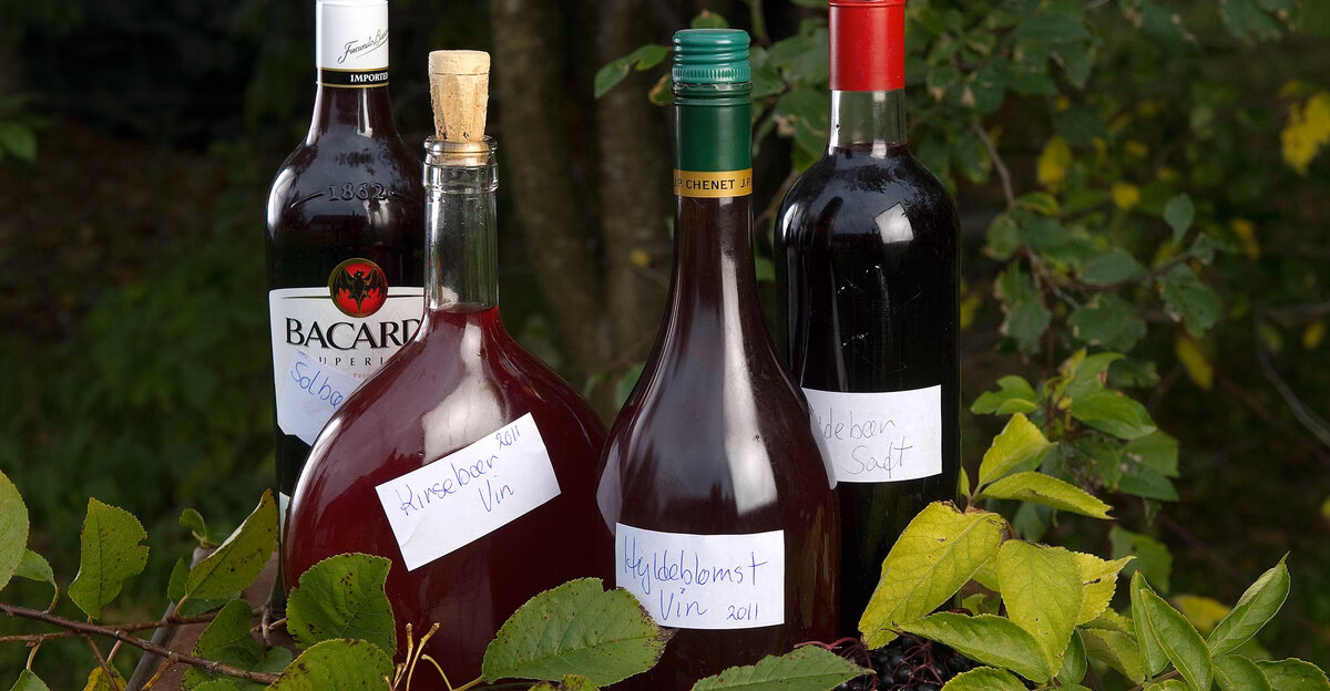 Hvordan laver man æblevin i en vinballon?