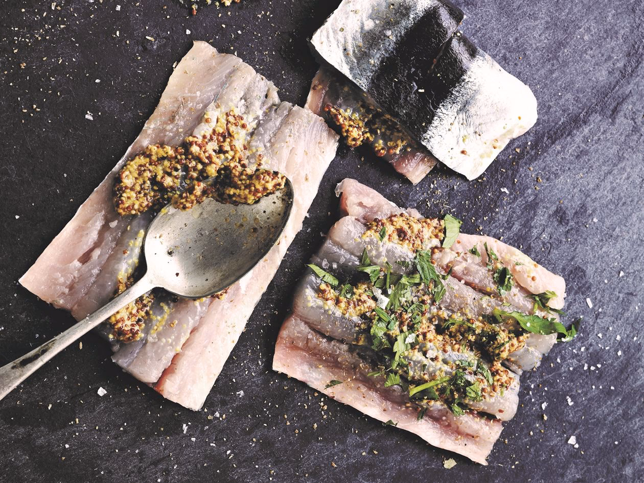 Hvad tid på døgnet er det bedst at fange hornfisk?