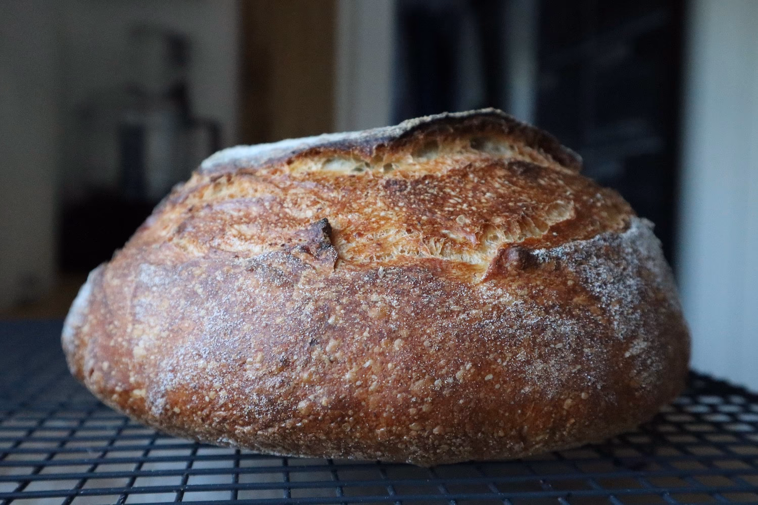 Hvor lang tid tager en surdej om at peake?