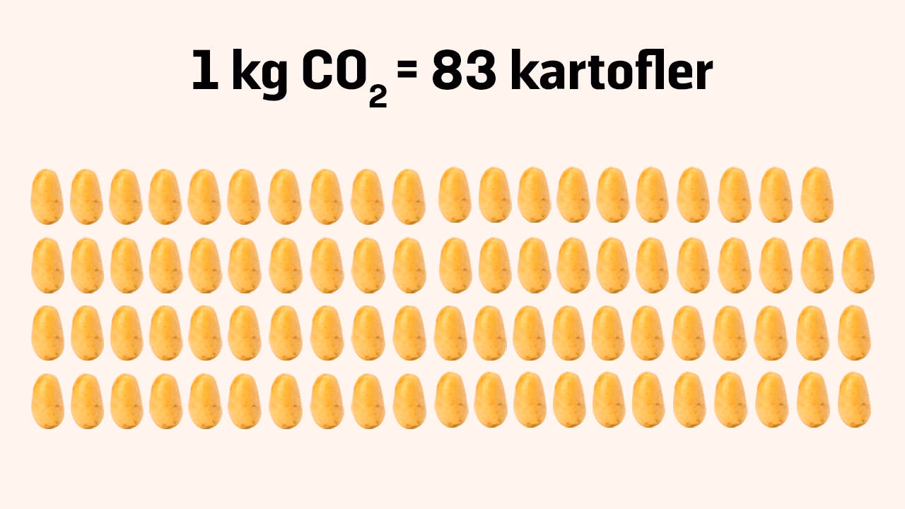Hvilke fødevarer udleder mest CO2?