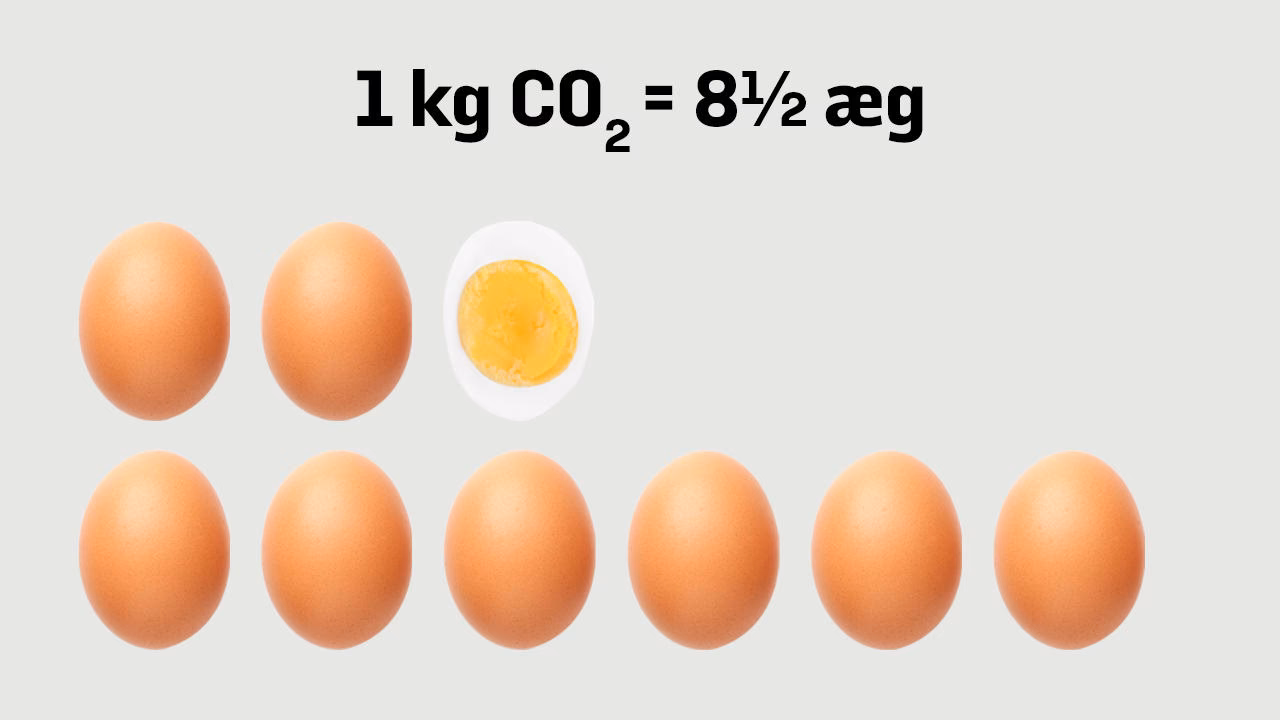 Hvor meget CO2 udleder 1 kg kyllingekød?