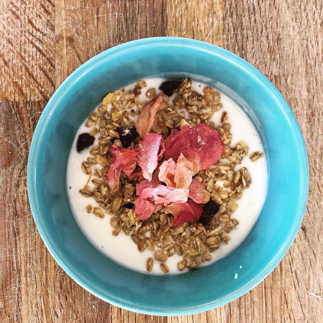 Hvad er hybenrose godt for?