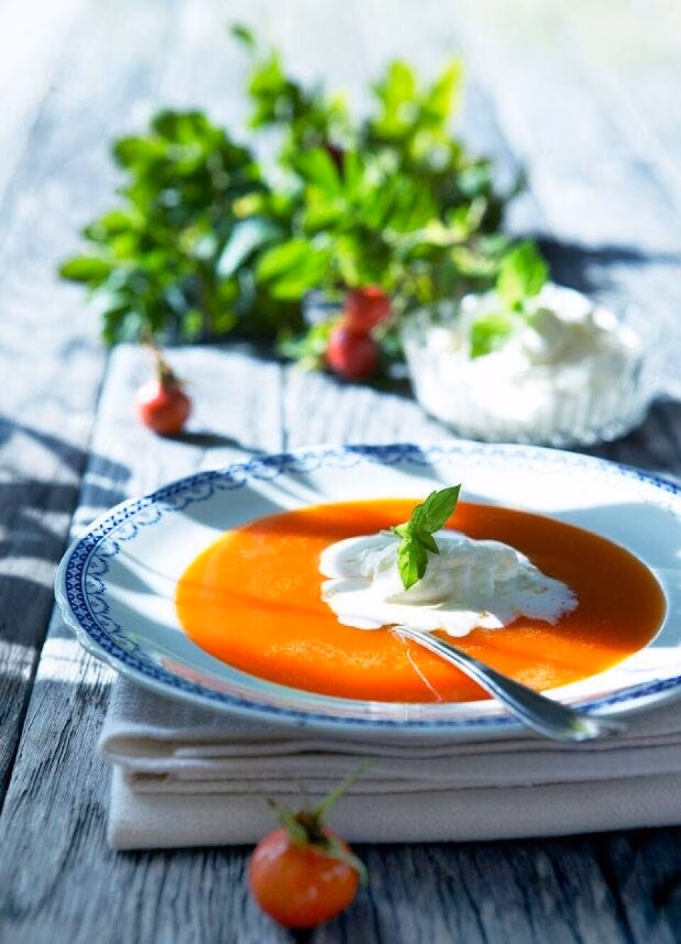 Kan man spise hyben rå?