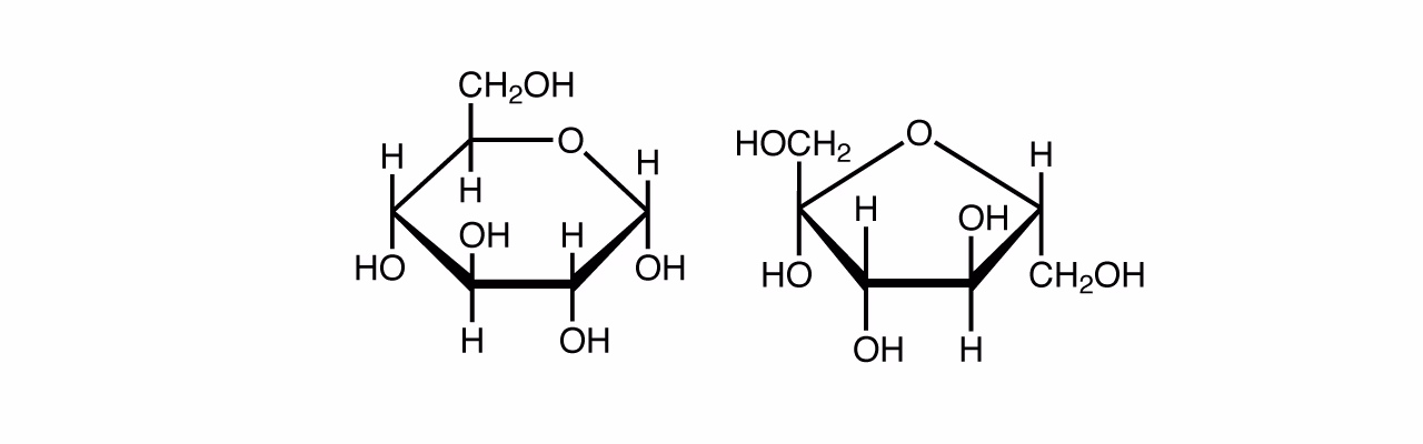 Hvad er inverteret sukker?