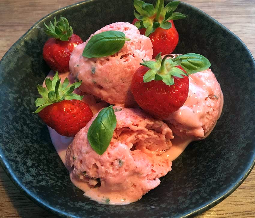 Kan man bruge skyr til is?