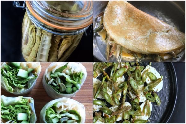 Hvordan bortskaffes japansk pileurt?