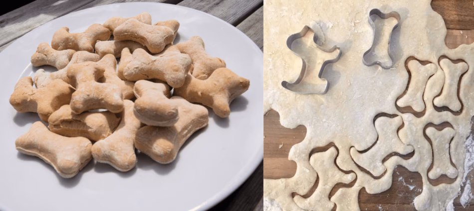 Kan hunde tåle kager?