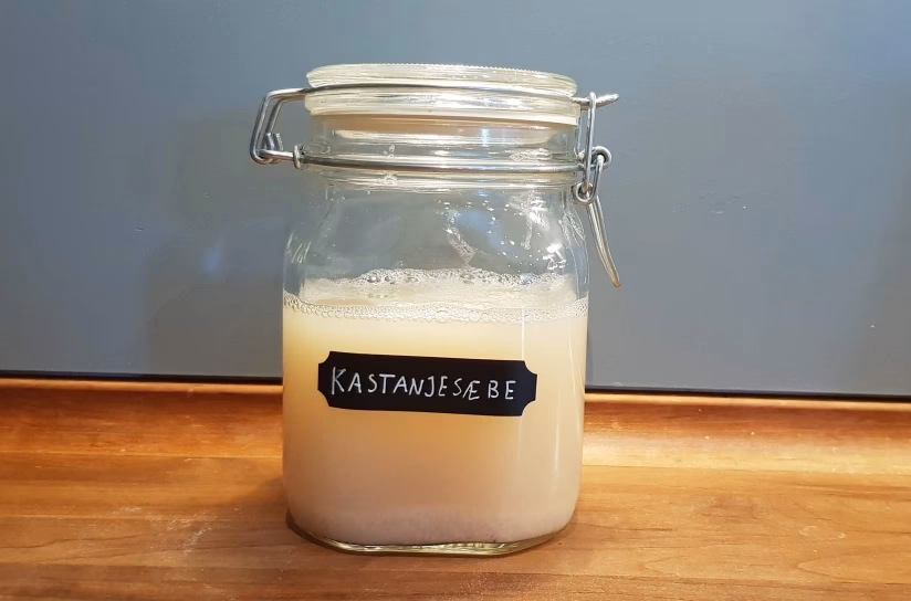 Hvorfor skal man have en kastanje i lommen?