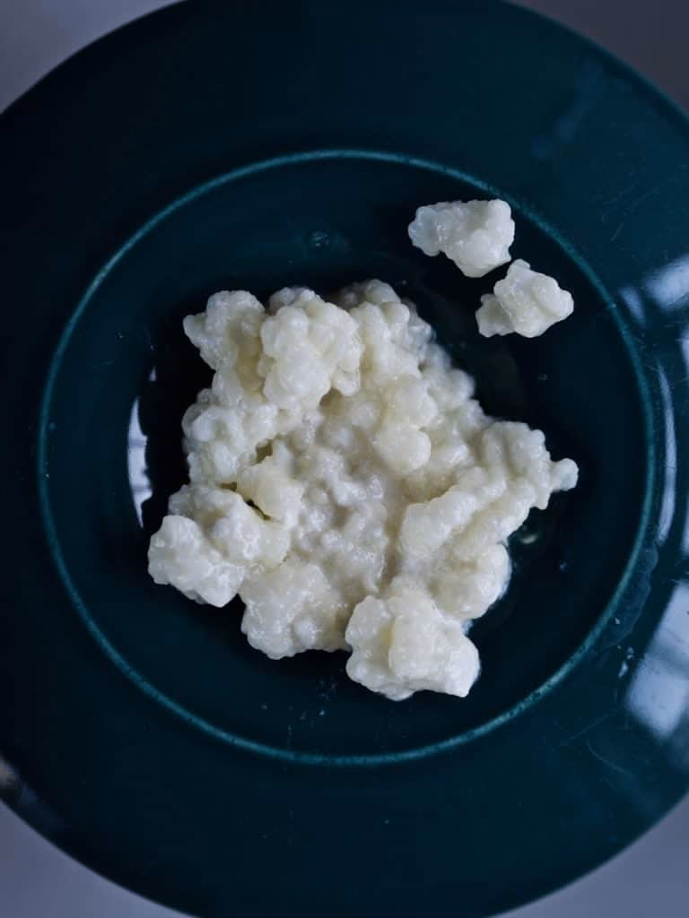 Hvordan fremstilles kefir?