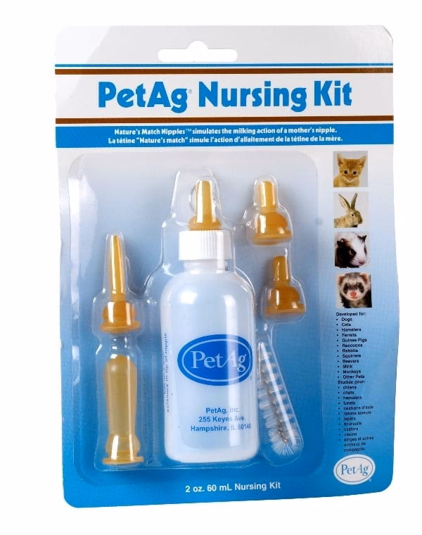 Hvor meget spiser en nyfødt killing?