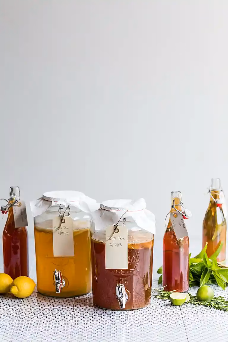 Hvad er kombucha godt for?