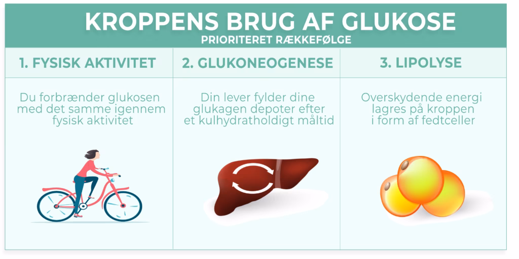 Hvordan reagerer kroppen på for lidt mad?