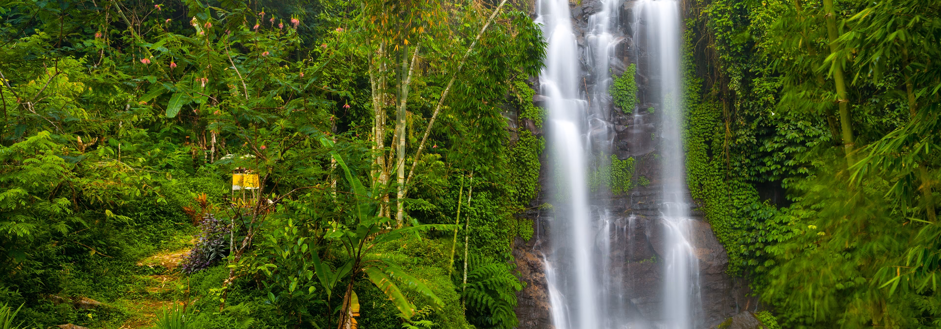 Hvad koster 2 uger på Bali?
