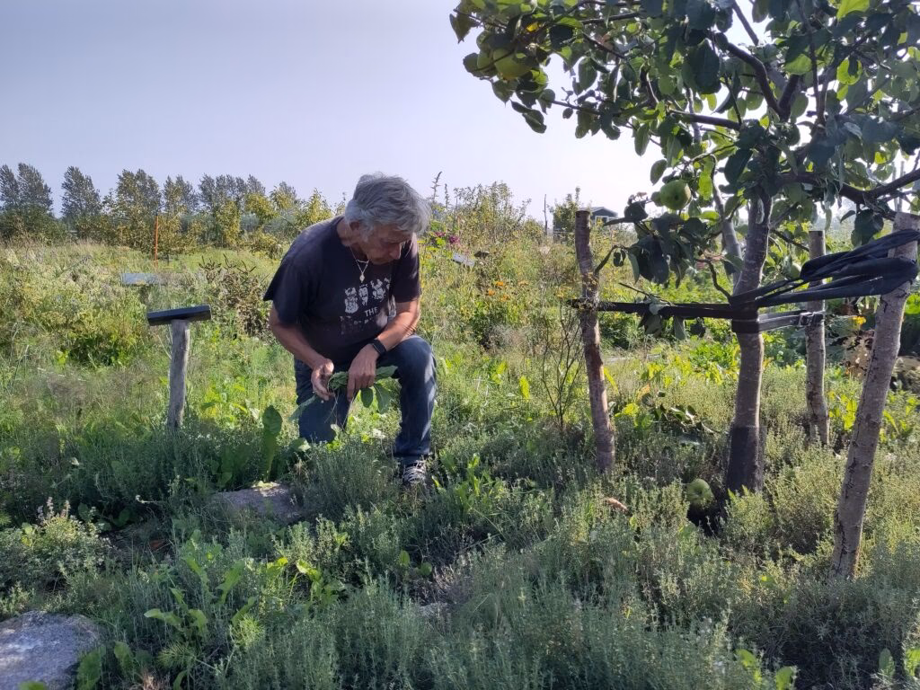 Hvornår bruger man artsopdelt resultatopgørelse?