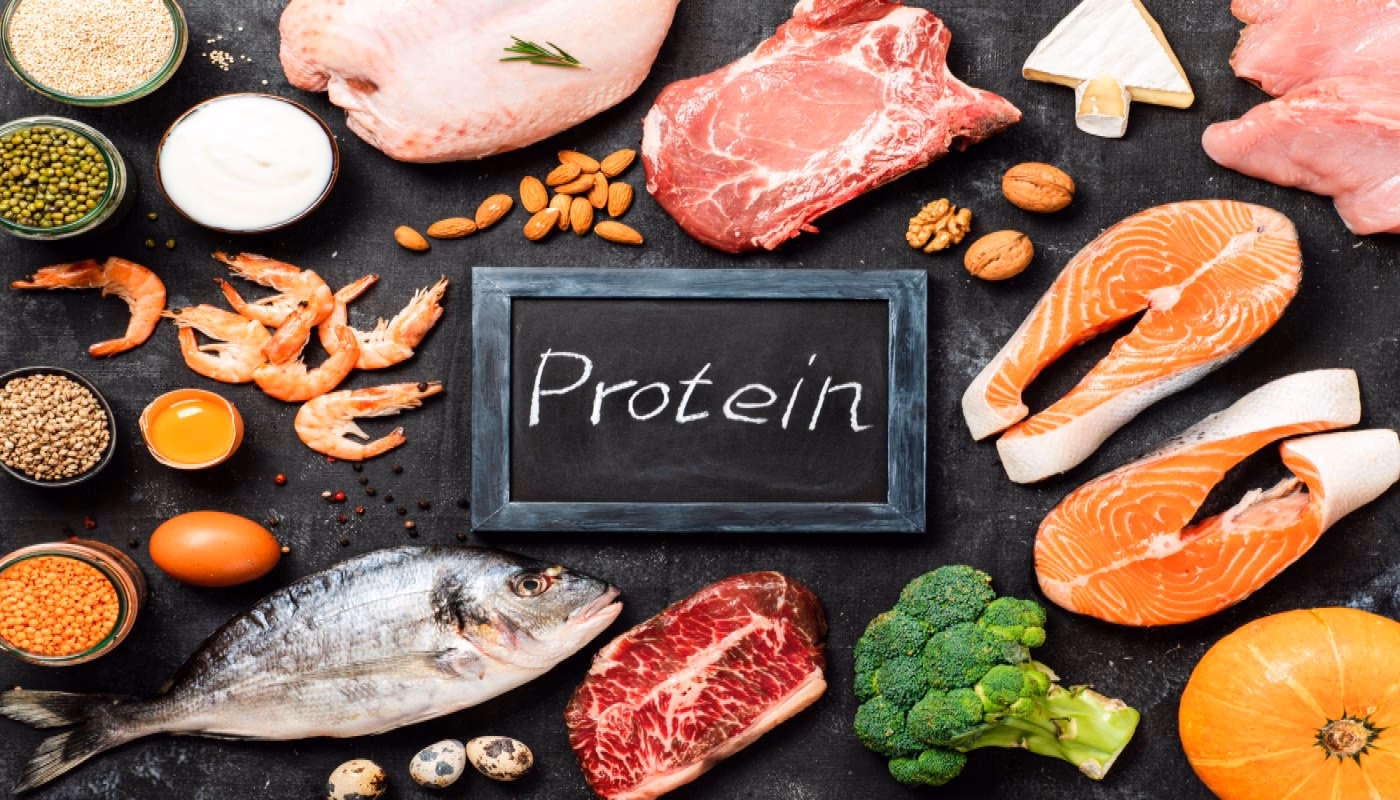Hvad har højst proteinindhold?