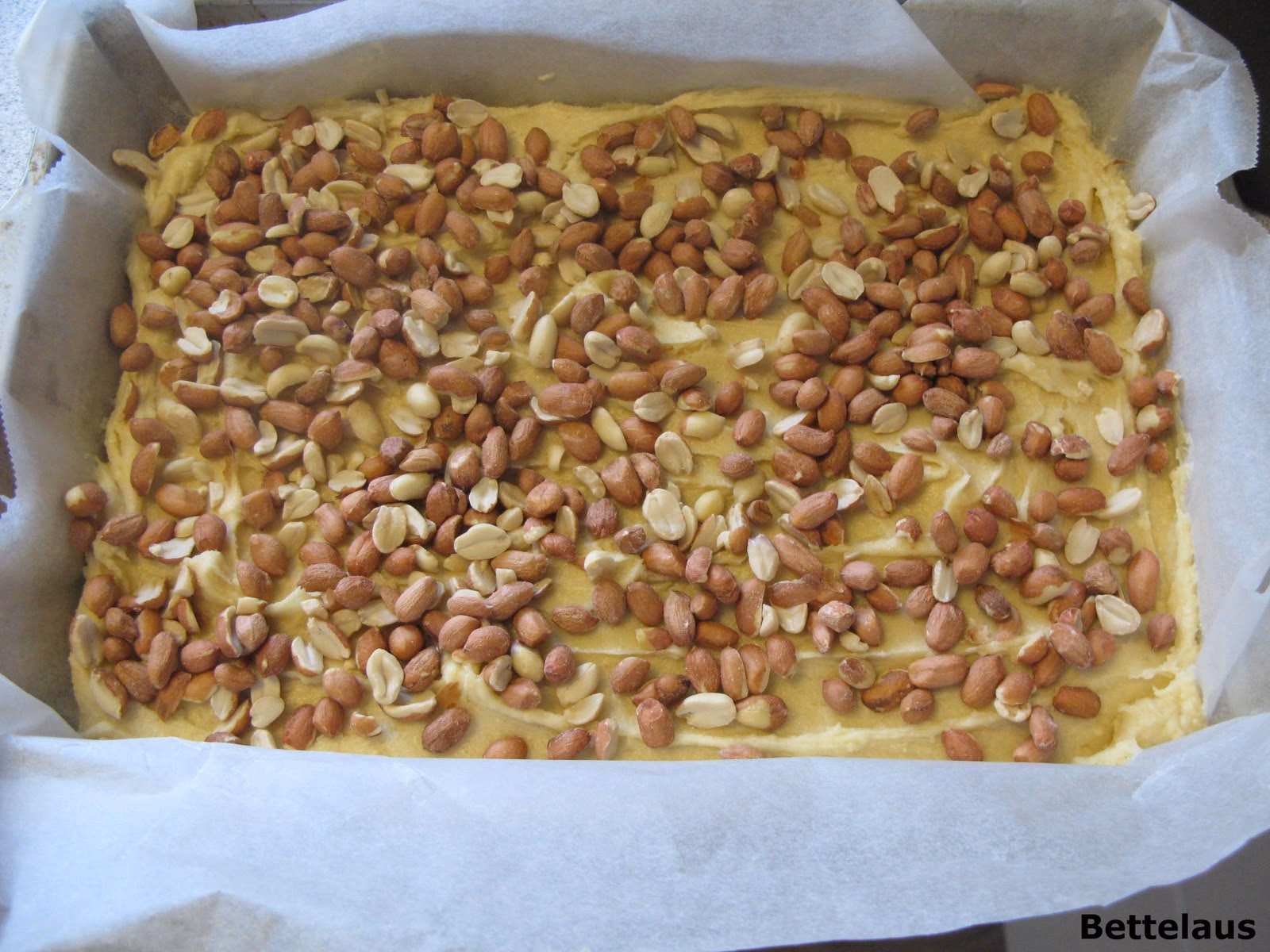 Kan man læse Familie Journalen online?