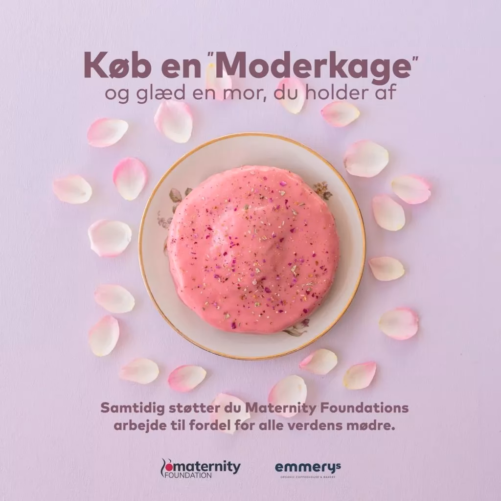 Hvad er en moderkage lavet af?