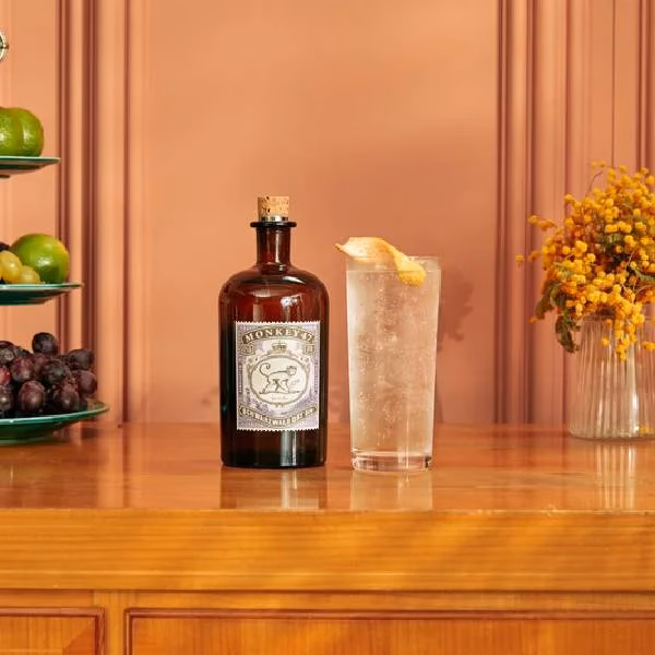 Hvilken tonic til monkey 47?