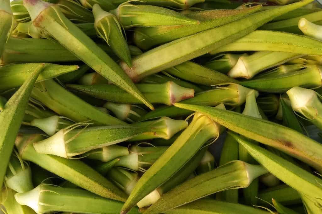 Er okra en frugt?