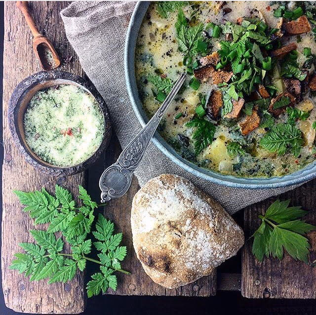 Hvornår kan man lave brændenældesuppe?