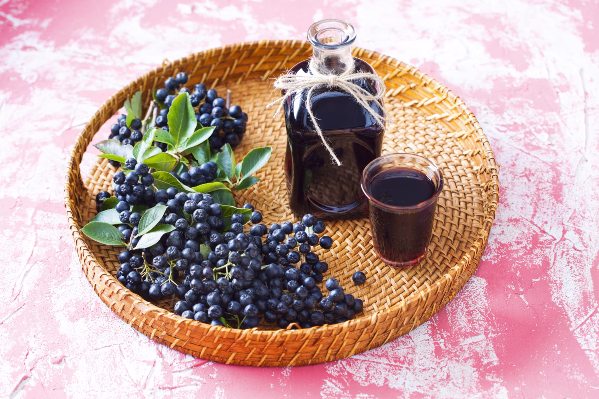 Kan man fryse aronia?