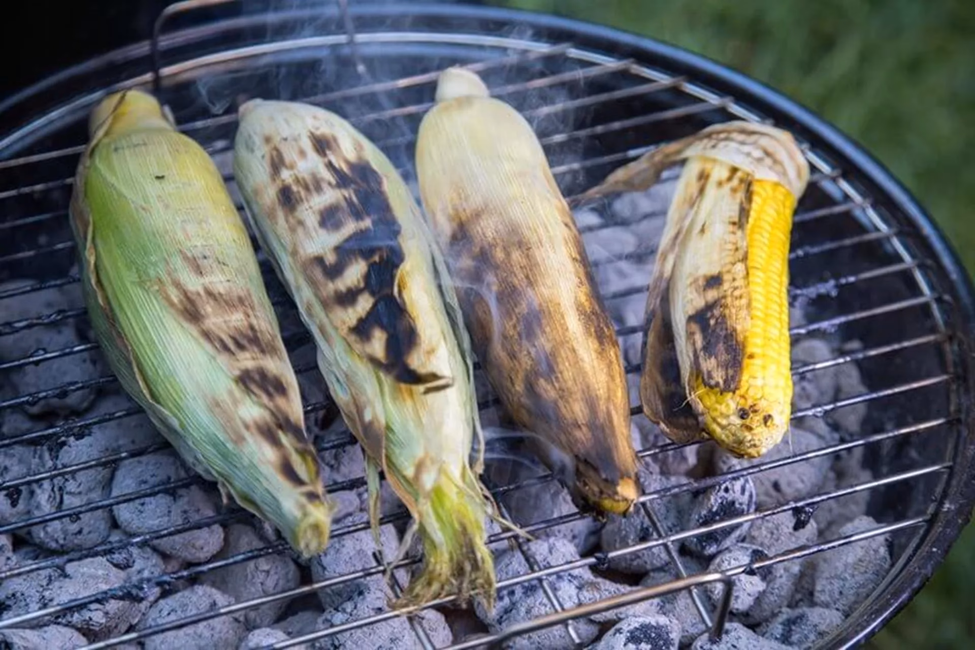 Hvordan varmer man majskolber?