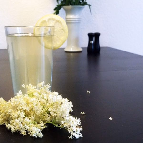 Hvorfor skal der citronsyre i hyldeblomstsaft?